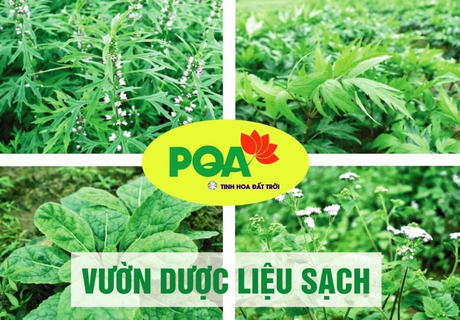 Triết Lý Kinh Doanh Triết Lý Kinh Doanh