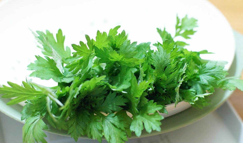 vị thuốc ngải cứu