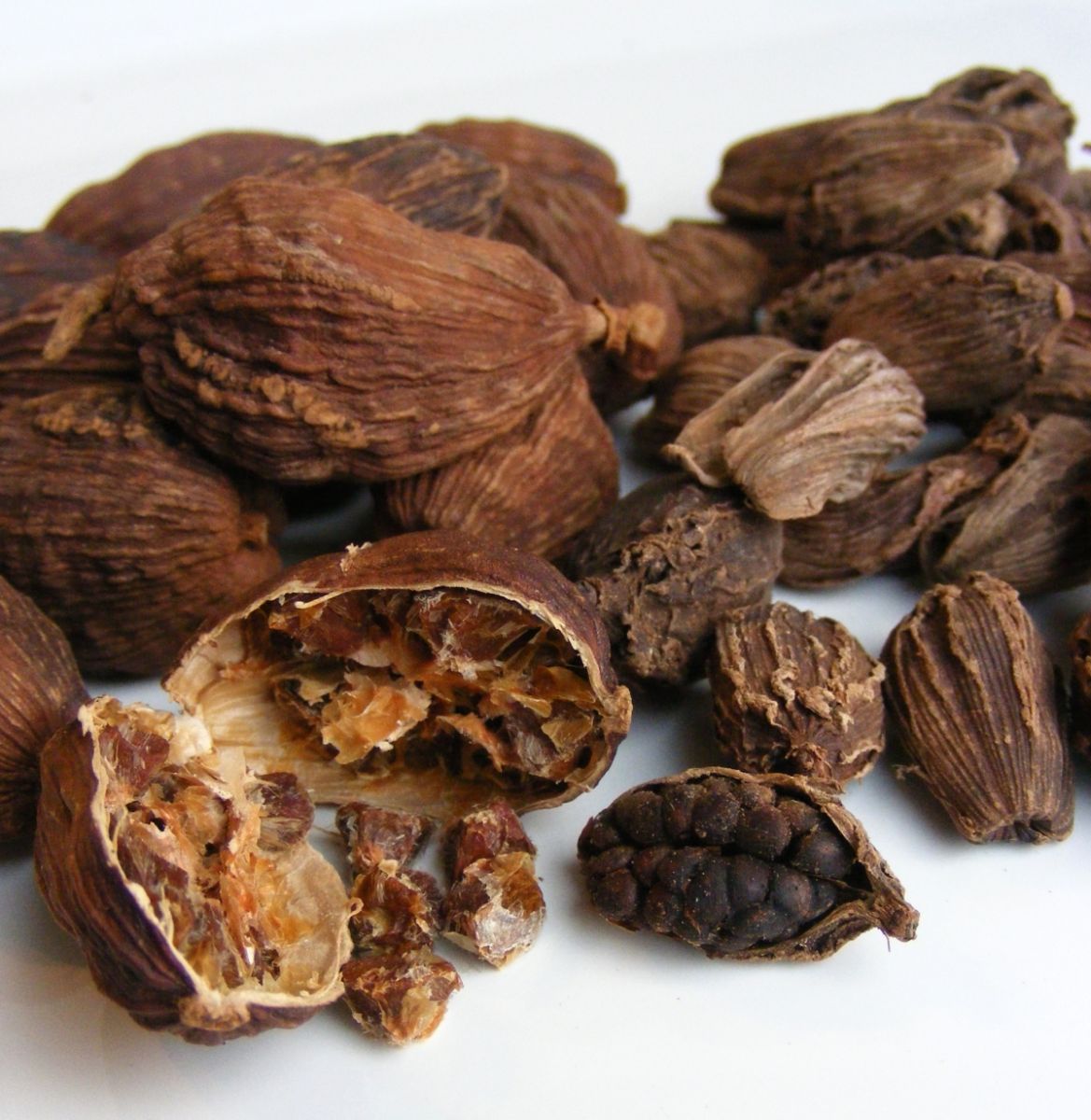 vị thuốc Thảo quả