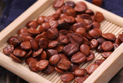 táo nhân có công dụng an thần