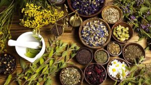Mẹo dân gian chữa thoái hóa đốt sống cổ bằng thuốc nam 