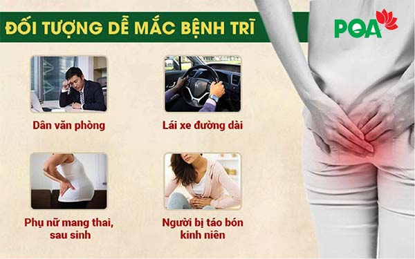 Bệnh trĩ là gì? Nguyên nhân, dấu hiệu, cách phòng, điều trị