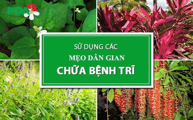 Bật mí cách trị bệnh trĩ tại nhà từ các mẹo dân gian đơn giản