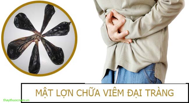 Tiết lộ mẹo nhỏ đơn giản chữa viêm đại tràng bằng mật lợn