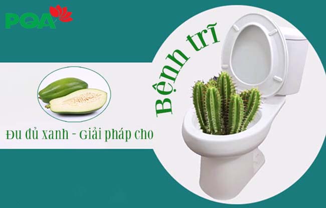 Phương pháp dân gian chữa bệnh trĩ bằng đu đủ vô cùng hiệu quả