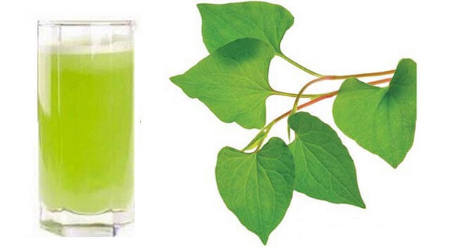 Cách trị bệnh trĩ bằng rau diếp cá đơn giản mà lại cực hiệu quả