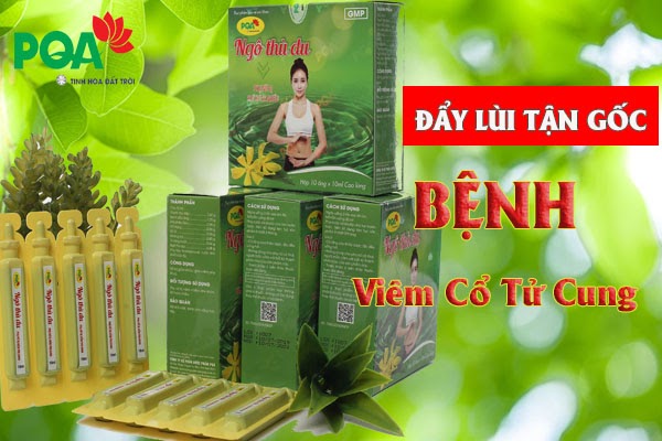 [Góc thảo luận] Viêm cổ tử cung có nguy hiểm không?