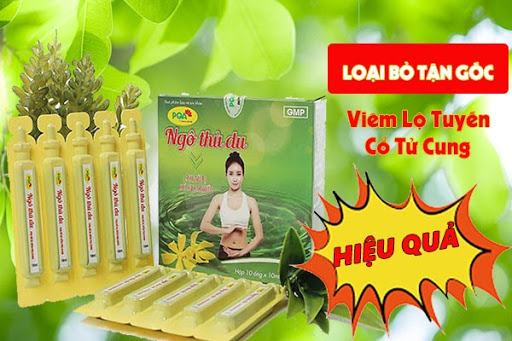 Viêm lộ tuyến, viêm cổ tử cung dùng PQA Ngô thù du có an toàn và hiệu quả không?