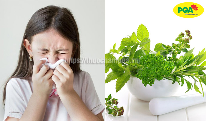 Top 5+ Bài thuốc trị viêm xoang trẻ em lành tính theo dân gian