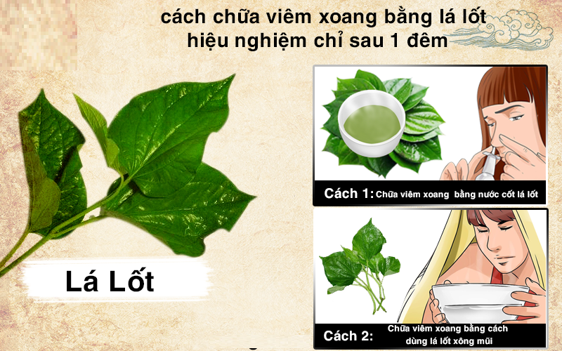 13+ cây thuốc xông trị viêm xoang tại nhà, vô cùng dễ tìm và dễ thực hiện