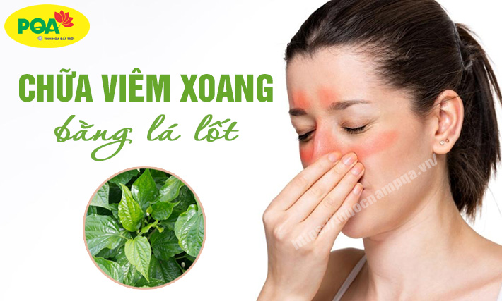 3+ cách chữa viêm xoang bằng lá lốt tại nhà