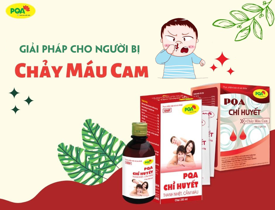 PQA Chỉ Huyết có tốt không? Sử dụng đúng cách như thế nào?