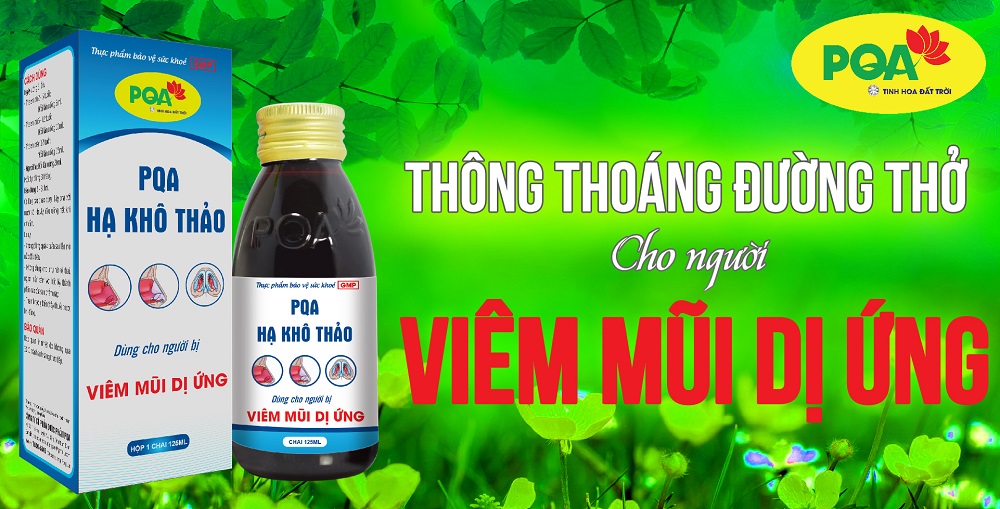 pqa hạ khô thảo chữa viêm mũi dị ứng hiệu quả