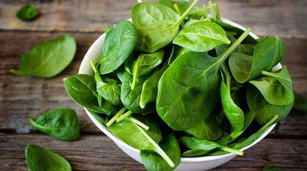 rau bina rất tốt cho người hen suyễn