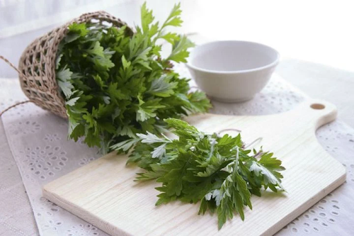 ngâm chân chữa đau thần kinh tọa - ngải cứu