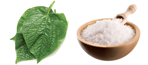 ngâm chân chữa đau thần kinh tọa - lá lốt