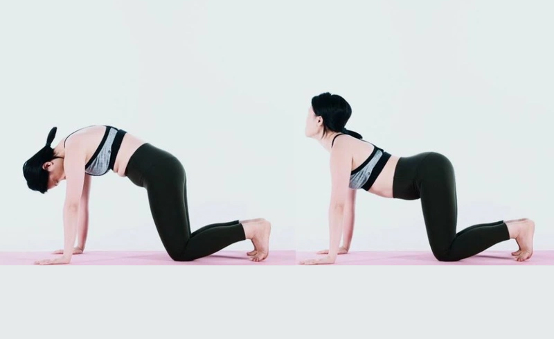 bài tập giãn cơ lưng chữa đau thần kinh toạ