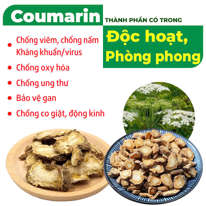 Thành phần hóa học PQA Phòng phong