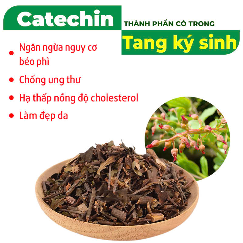 Thành phần hóa học PQA Phòng phong