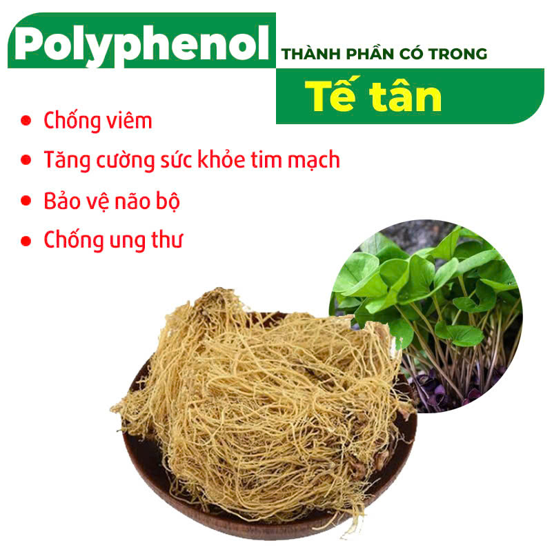 Thành phần hóa học PQA Phòng phong