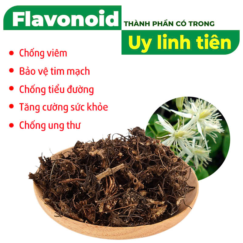 Thành phần hóa học PQA Phòng phong