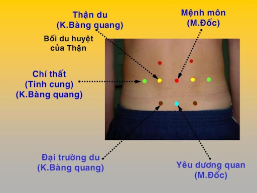 vị trí huyệt đạo