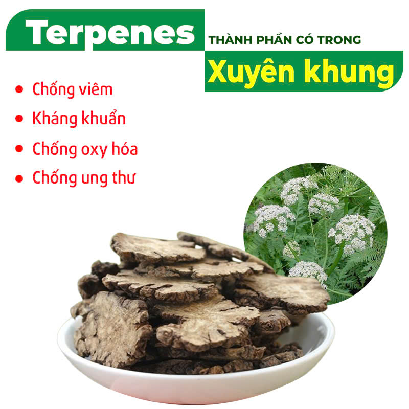 Thành phần hóa học PQA Phòng phong