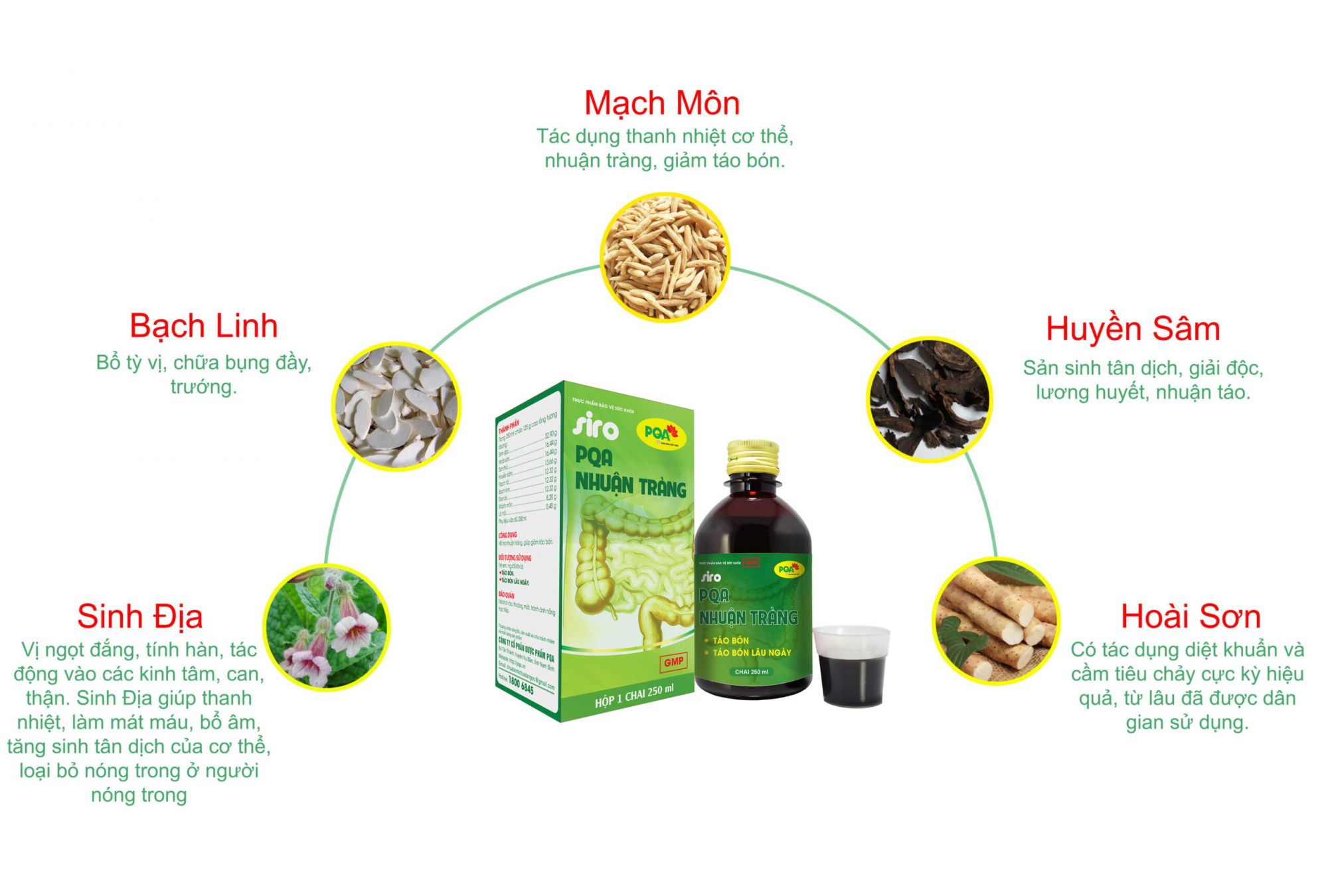 thành phần siro pqa nhuận tràng