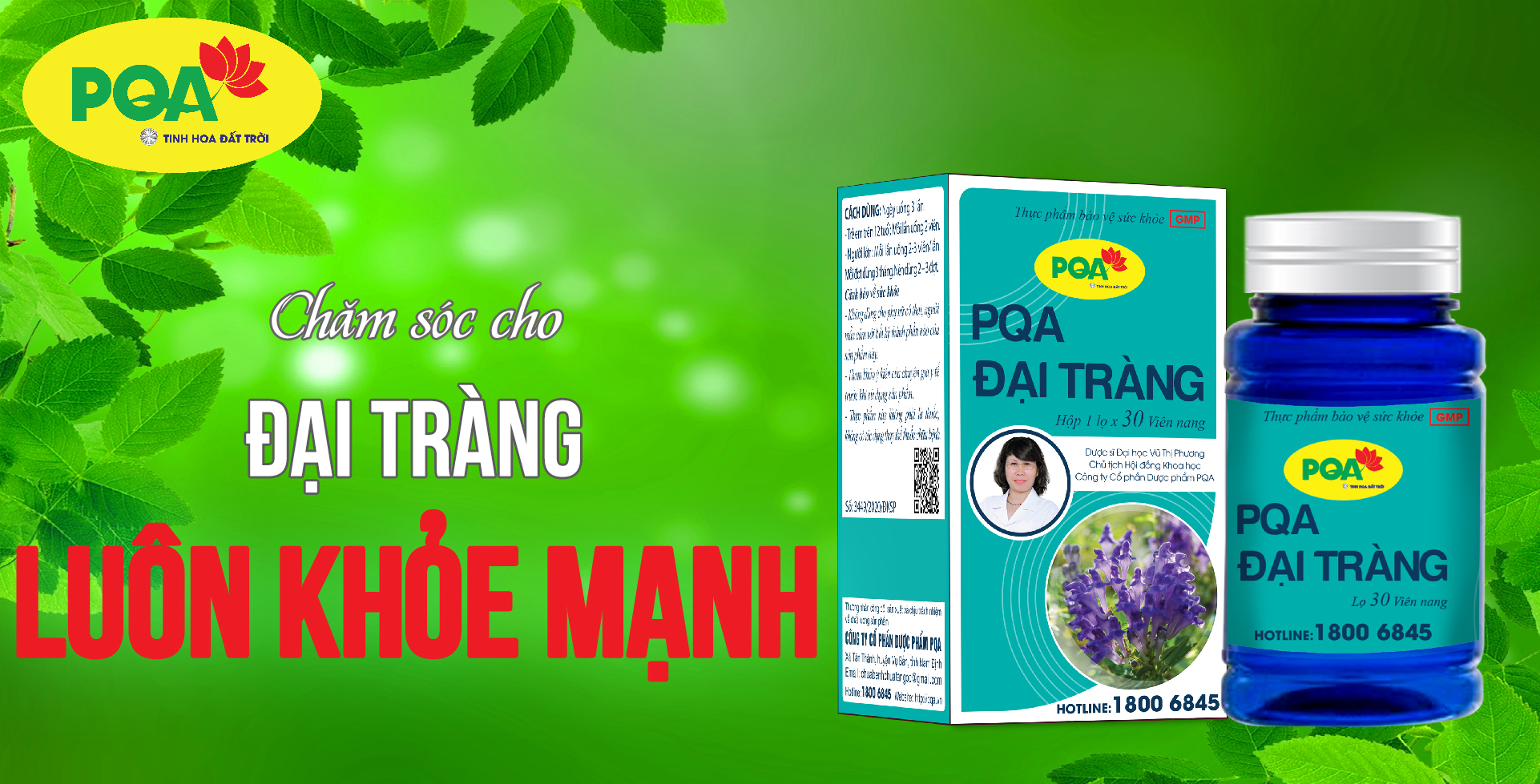 pqa đại tràng viên nang