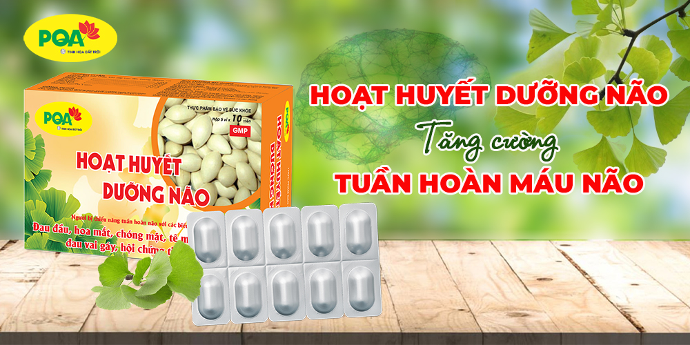 PQA Hoạt huyết dưỡng não