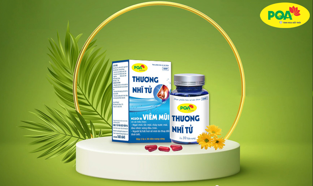 pqa thương nhĩ tử