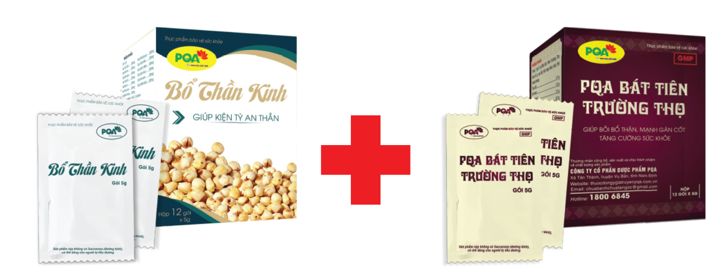 pqa bổ thần kinh và thập toàn đại bổ