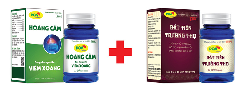 pqa hoàng cầm và bát tiên