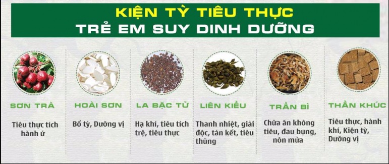 bài thuốc tiêu thực hoàn chữa còi xương, suy dinh dưỡng ở trẻ
