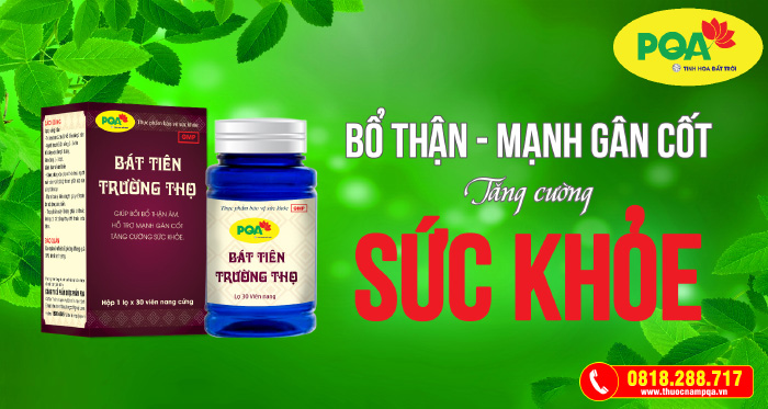 pqa bát tiên trường thọ viên nang