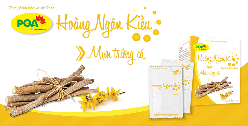 PQA Hoàng ngân kiều