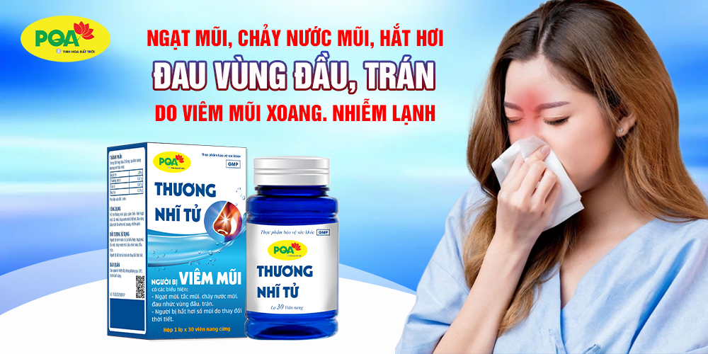 pqa thương nhĩ tử