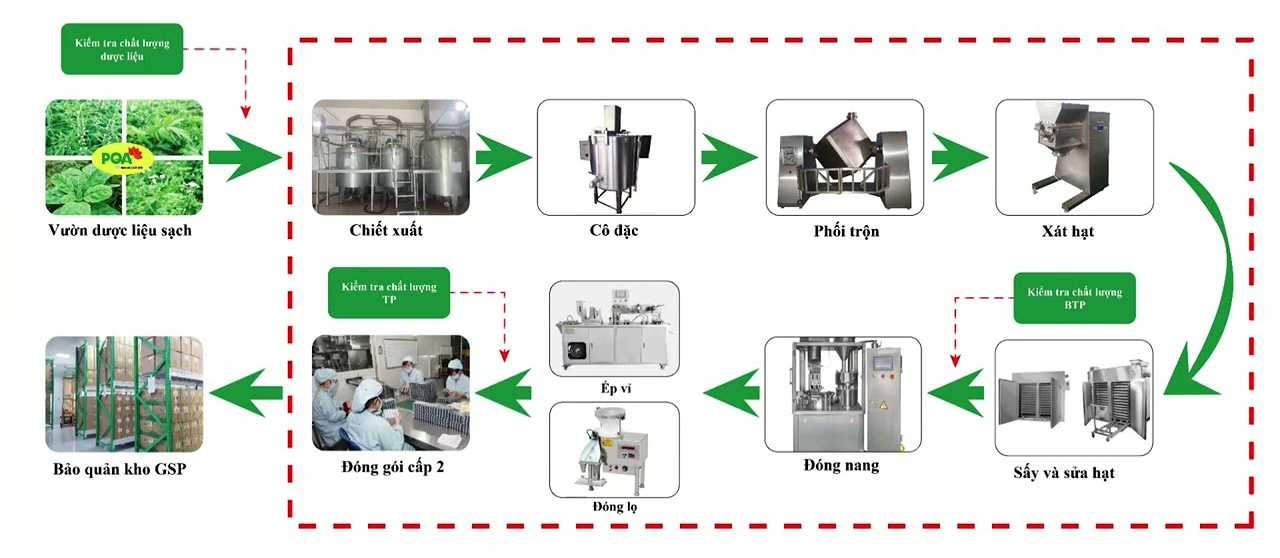 quy trình sản xuất viên nang của pqa
