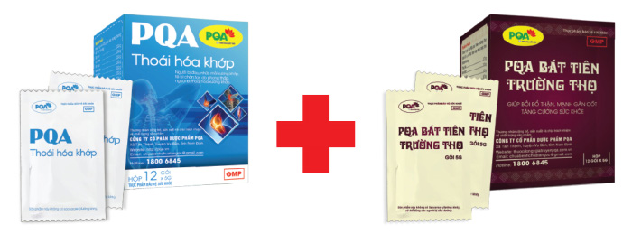 pqa hoạt huyết dưỡng não kết hợp pqa bát tiên trường thọ
