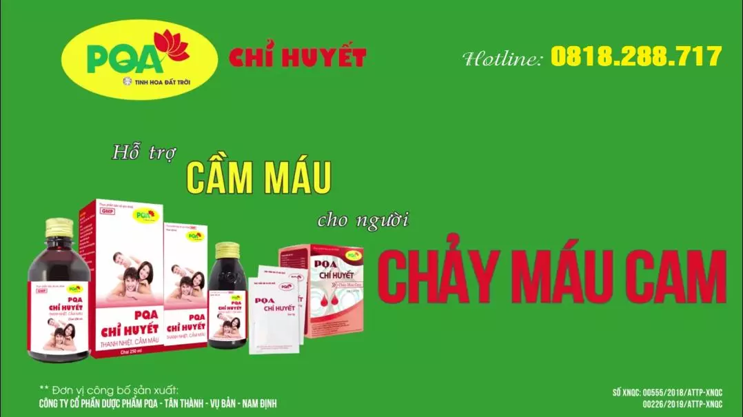 PQA Chỉ Huyết | Thanh nhiệt - Cầm máu - Dùng cho người bị Chảy Máu Cam